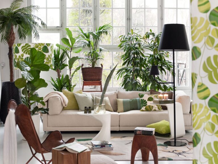 These Air-Purifying Plants Will Infuse Greenery Into Your Home