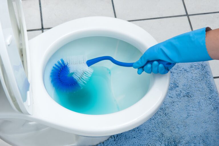 toilet bowl cleaning, hand with blue gloves scrubbing the white toilet with a brush